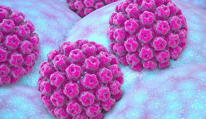 Gençlerde yayılan HPV virüsü için geniş kapsamlı araştırma başlatıldı