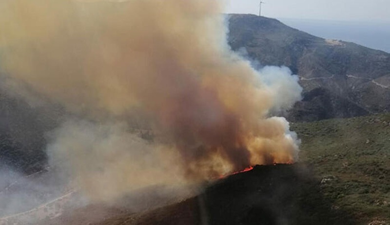İzmir'de ikinci orman yangını