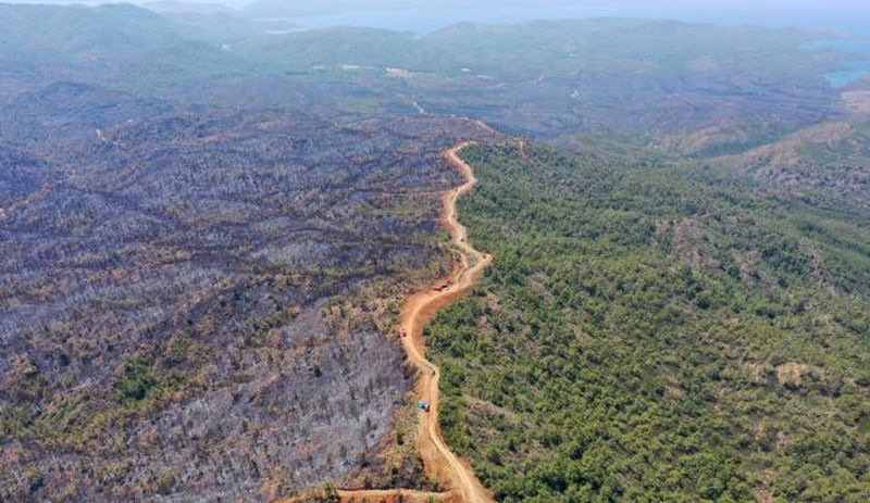 OGM raporunda yangınlara karşı uyarı: Ormanlar korunmalı ve hukuki güvence altına alınmalı