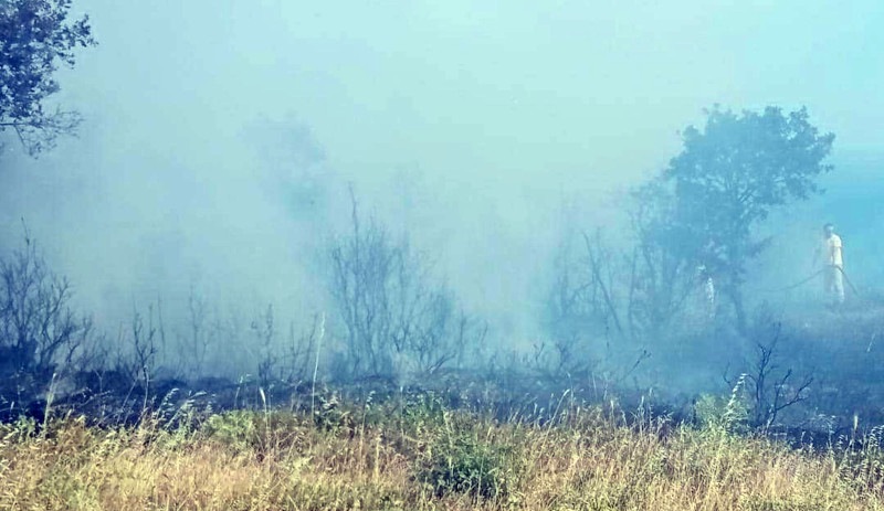 Piknik ateşiyle orman yangınına neden olan 3 kişi tutuklandı