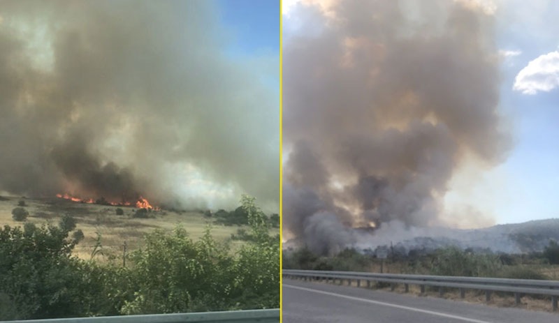 Bergama'da orman yangını: Alevler süt fabrikasına yaklaştı