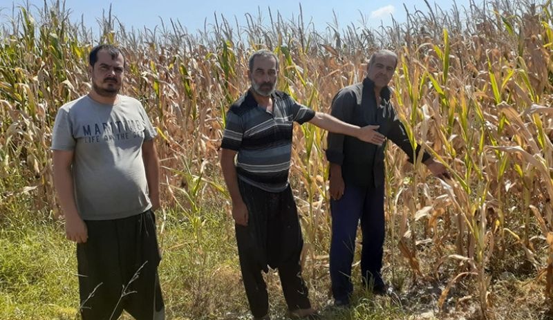 Osmaniyeli çiftçiler: 'Ekin' dediler ektik ancak sulayamıyoruz