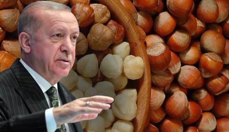 Erdoğan açıkladı: Fındık taban fiyatı 54 TL