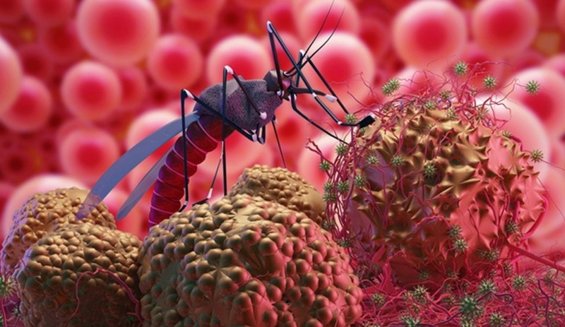 İtalya'da Batı Nil Virüsü vakası 94 kişiye ulaştı