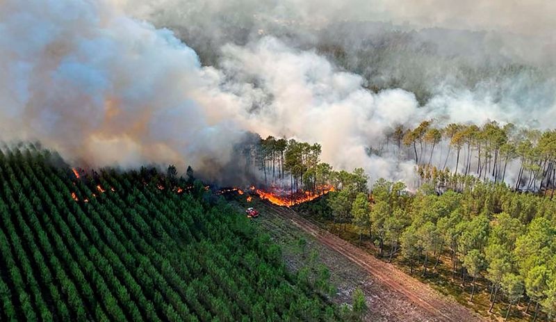 Fransa'daki orman yangını kontrol altına alındı