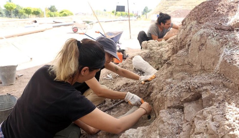 Çankırı'da bulunan hayvan fosili sayısı 4 bine ulaştı: ‘Müze açabilecek fosile sahibiz’