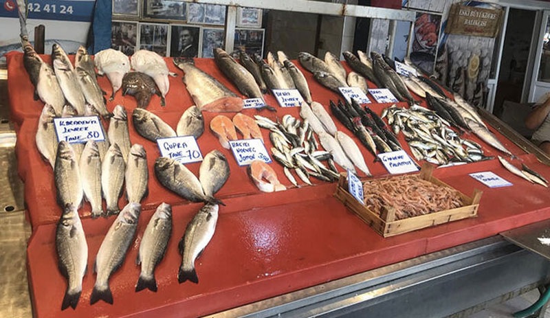 Yeni av sezonunda tüketicilere çağrı: Balığın boyuna dikkat edin