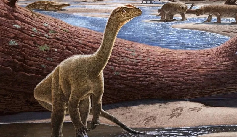 Afrika'nın en eski dinozoru keşfedildi: 200 milyon yıldan daha eski
