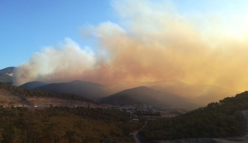 Mersin'de orman yangını sürüyor: 30 ev boşatıldı