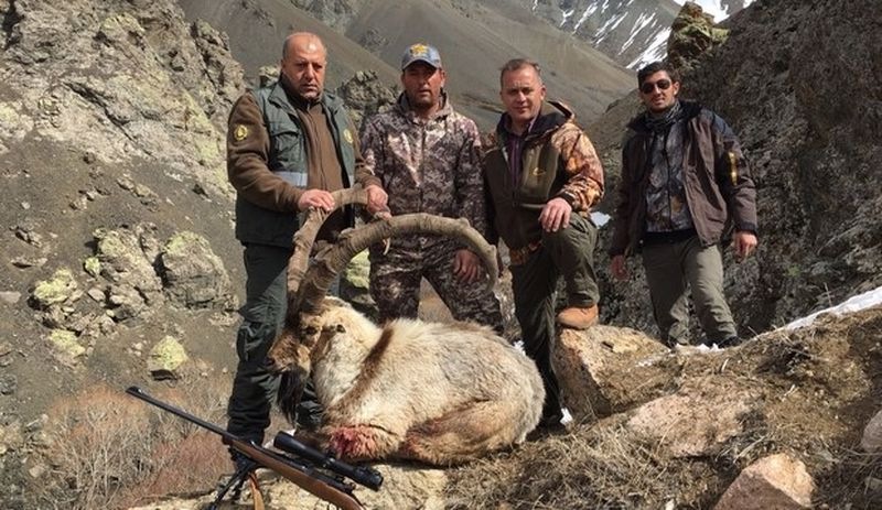 Para için hayvan katliamı: 7 kentte 28 dağ keçisi ve geyiğin öldürülmesine onay