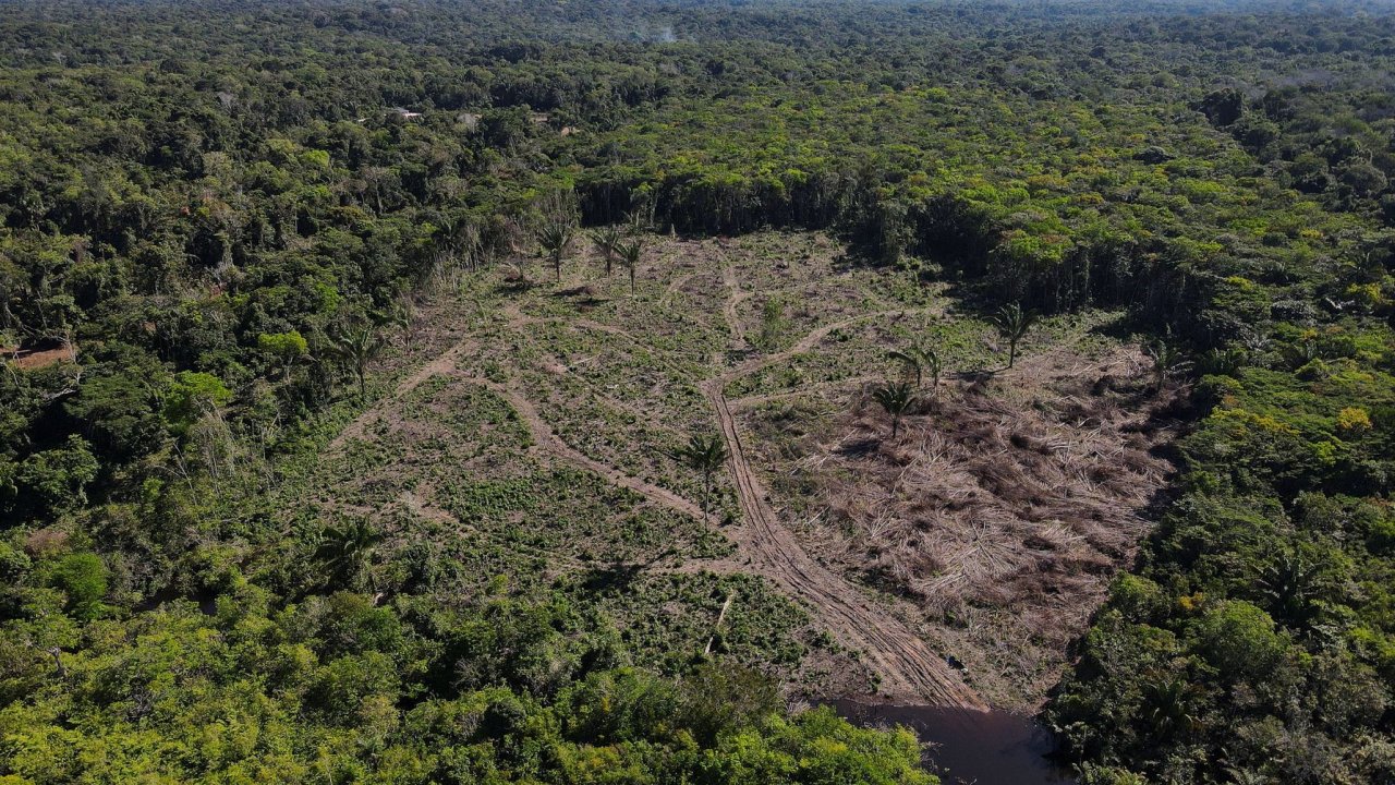 Brezilya dahil üç ülke yağmur ormanlarını korumak için anlaştı