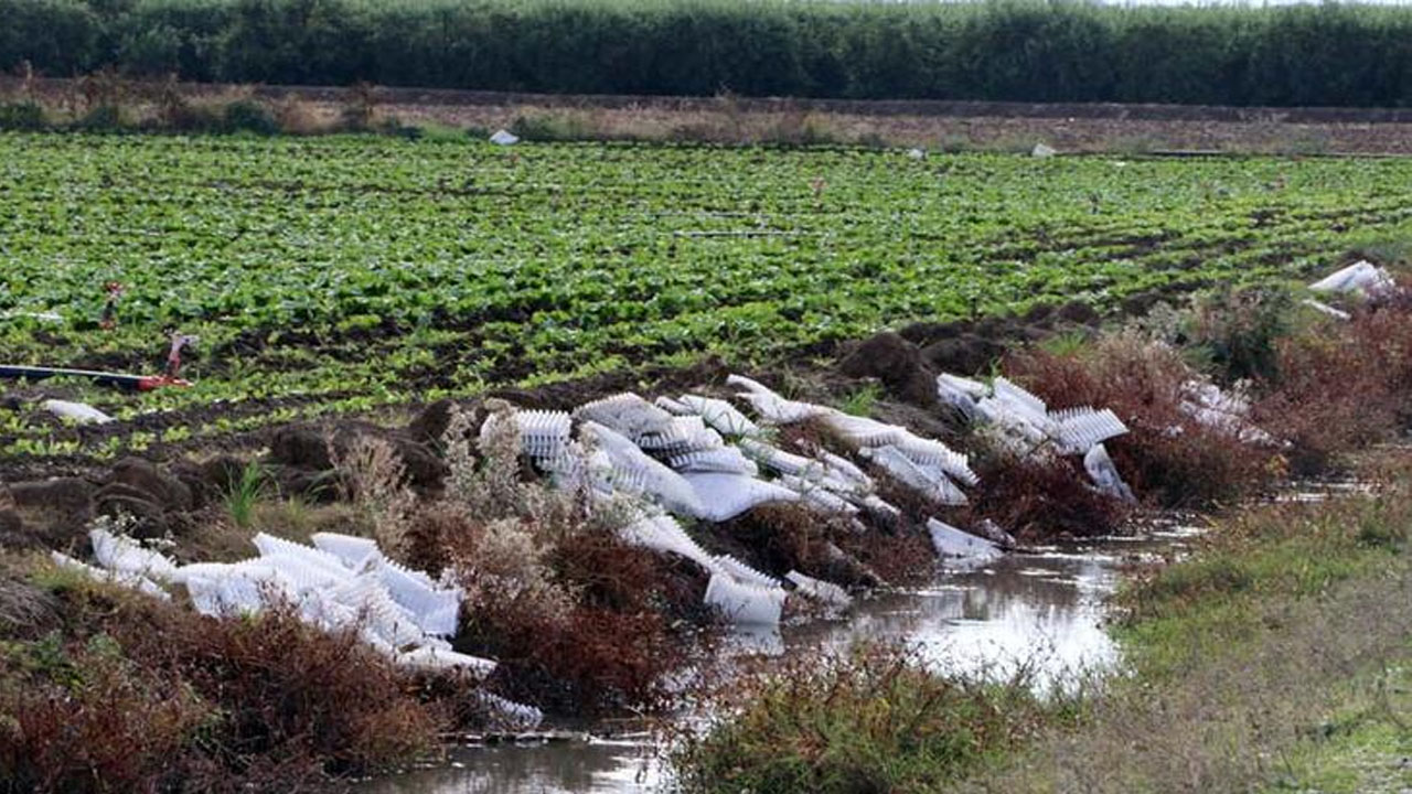 Tarlada bırakılan plastik atık, mikroplastiğe dönüşüp sofralara geliyor