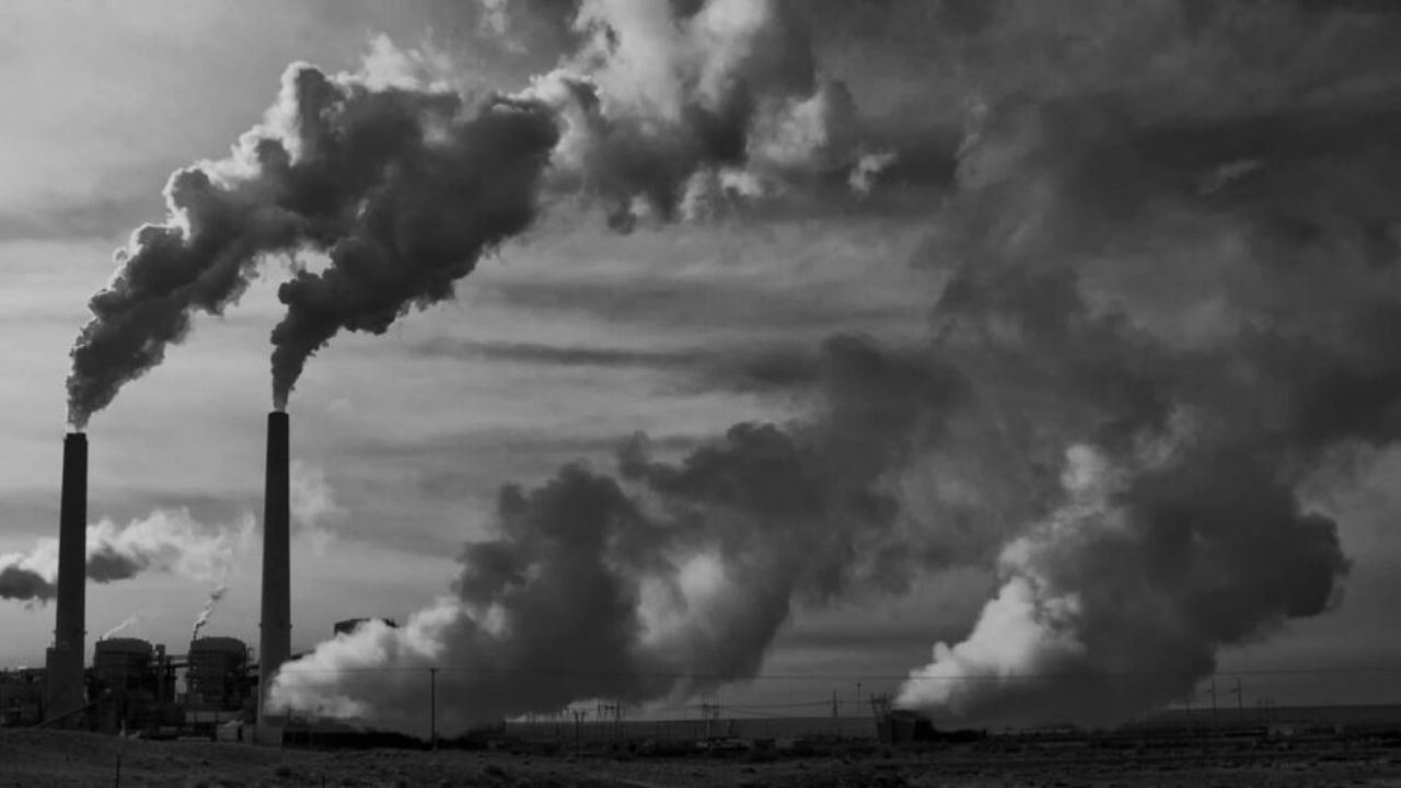 Araştırma: Hava kirliliği, yılda bir milyon ölü doğuma yol açıyor