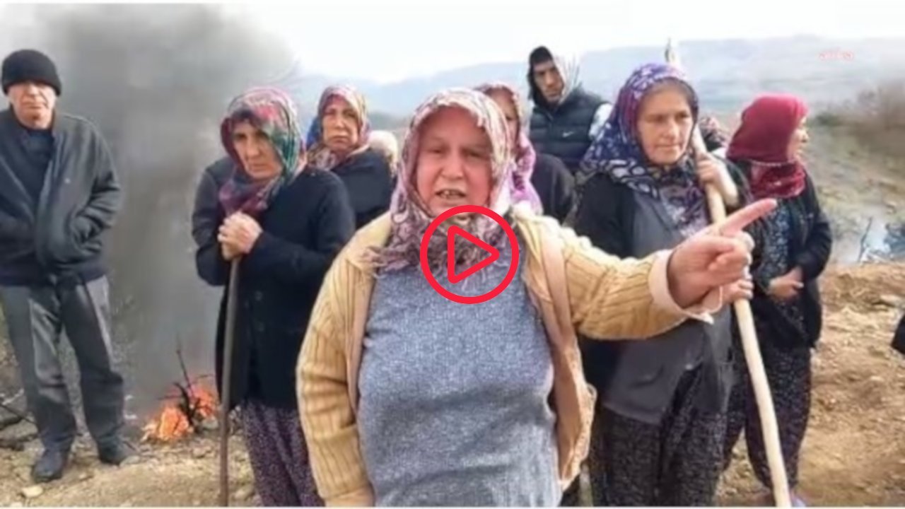 Taşova'da OSB inşaatı için ceviz ağaçları kesildi