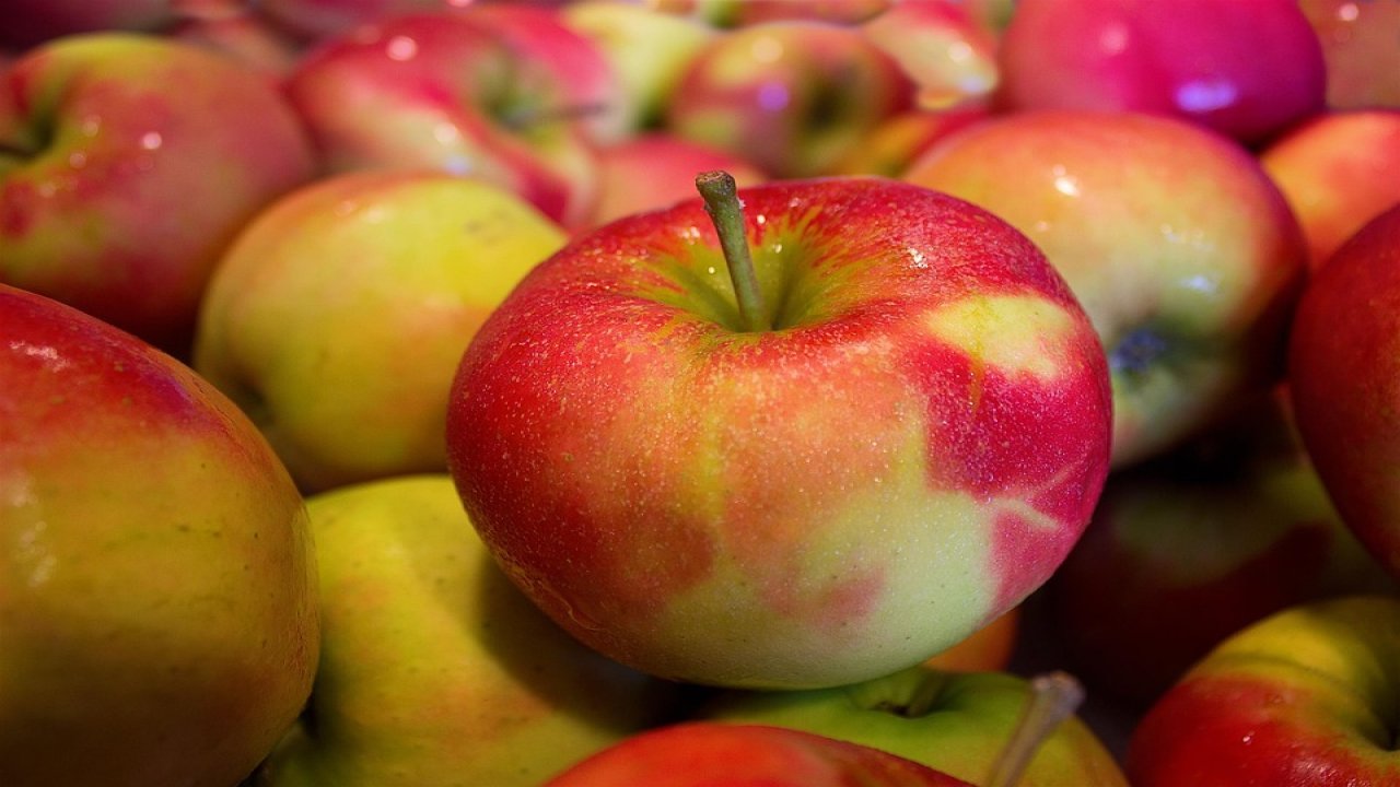 Elmanın en değerli yerini çöpe atmışız.. Meğer elmayı böyle tüketmek çok şifalıymış