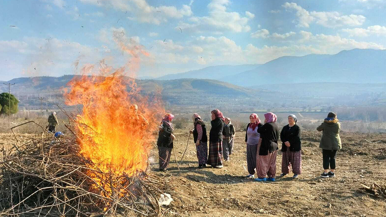 Köylülerden Vali'ye 'sökülmüş ağaç' tepkisi:  'Bu kiraz ağacının günahı sana sorulsun'