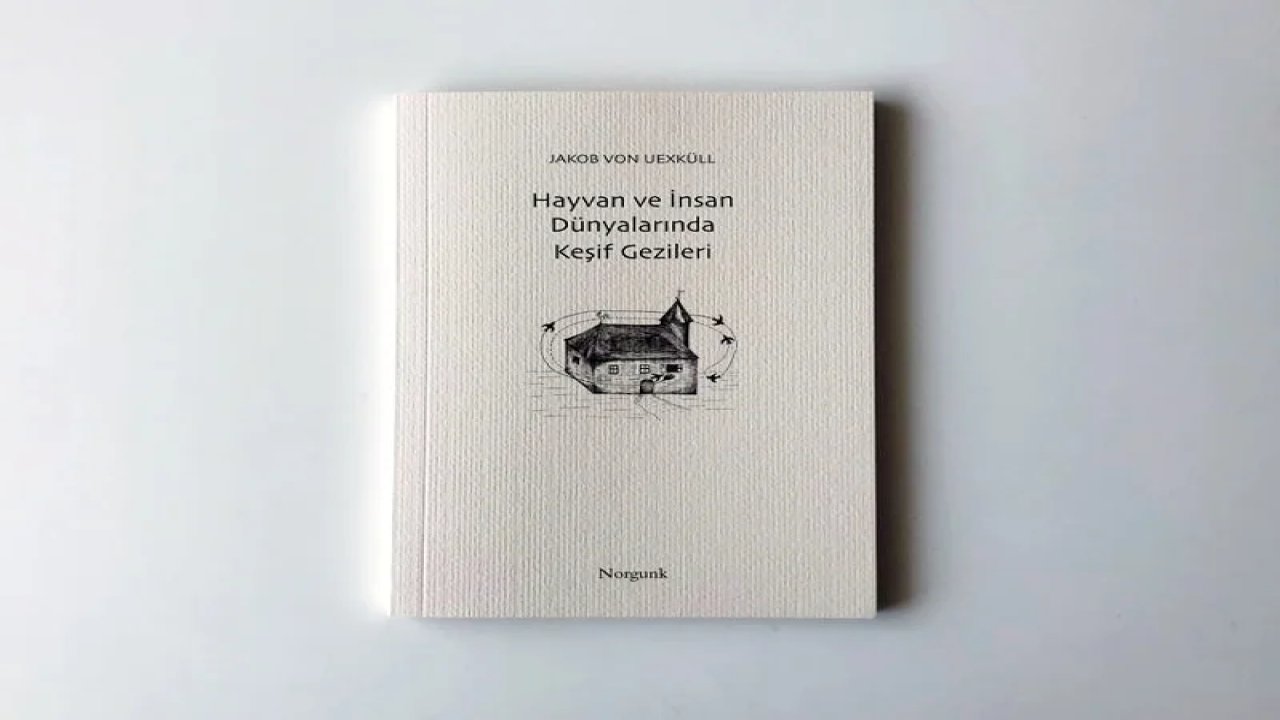 Jakob Von Uexküll'den organizmaların felsefesi: 'Hayvan ve İnsan Dünyalarında Keşif Gezisi' ilk kez Türkçede