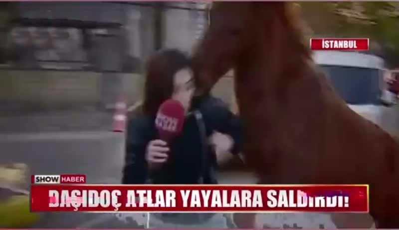 Show TV muhabirine at saldırdı