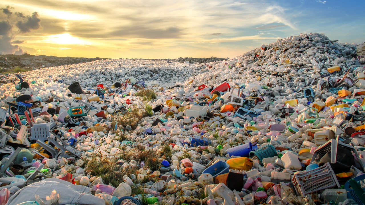 TEMA'dan Dünya Çevre Günü açıklaması: Plastikler anne karnına, insan kanına kadar girdi