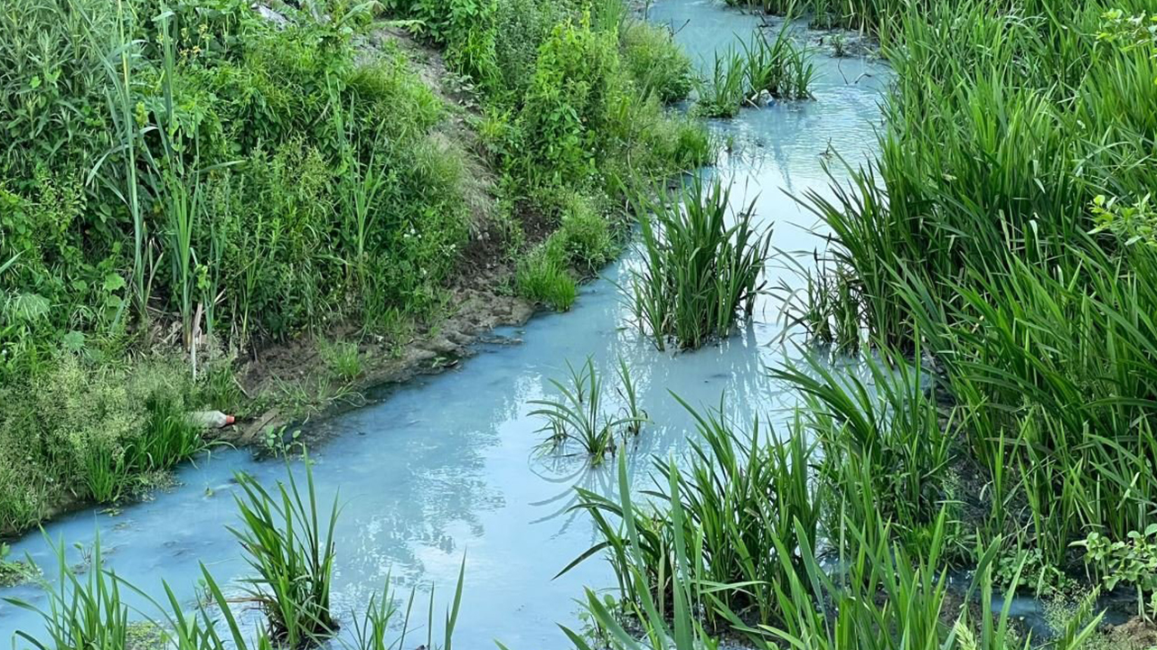 Arnavutköy'de derenin rengi maviye döndü: İSKİ açıklama yaptı