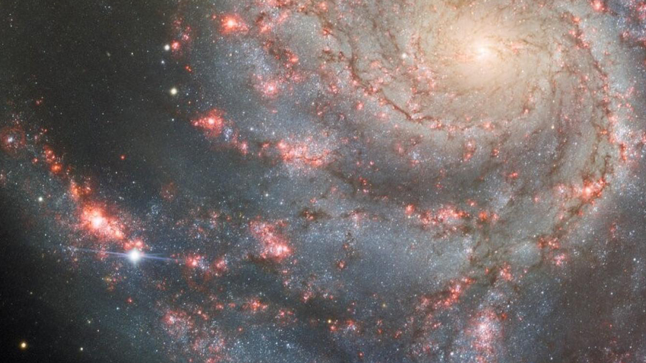 Fırıldak Galaksisi'nde yeni keşfedilen bir süpernova görüntülendi