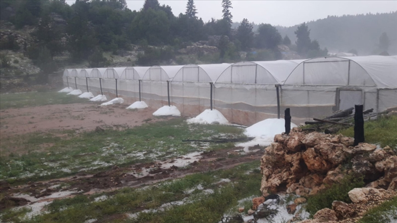 Mersin'de sağanak tarım alanlarını vurdu: Ekili ürünler hasar gördü