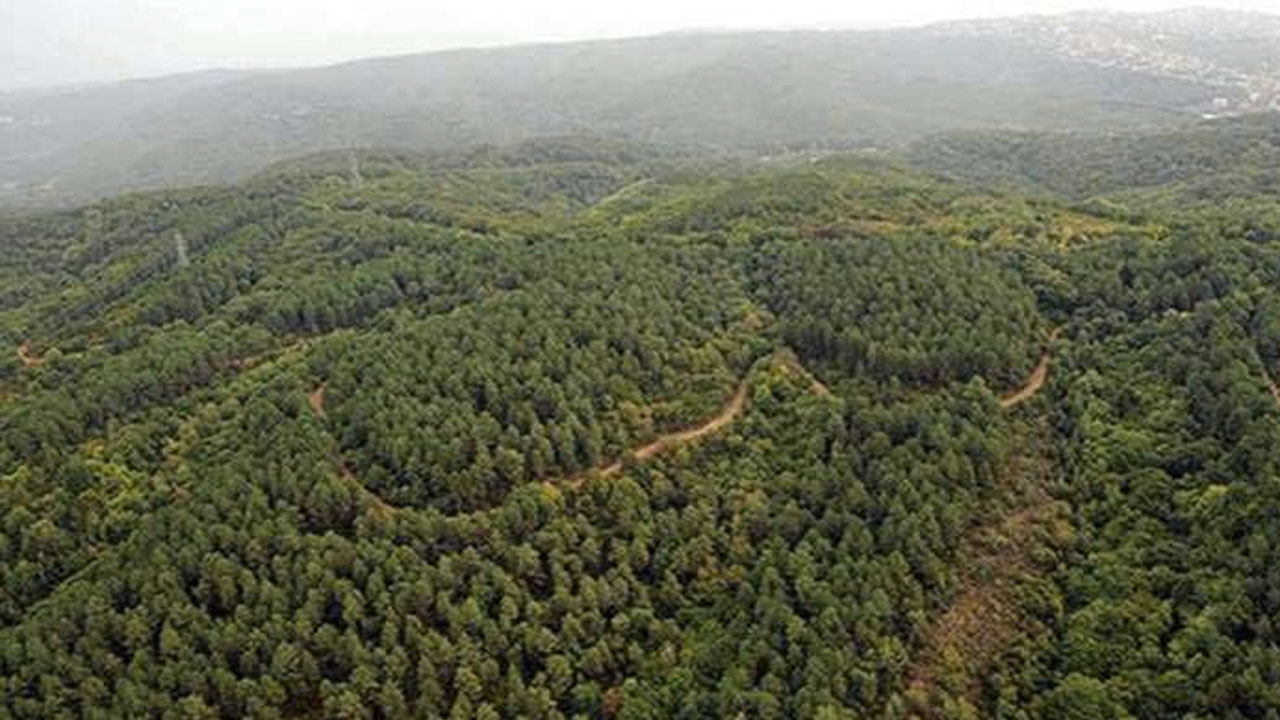 11 ilde bazı alanlar orman dışına çıkarıldı