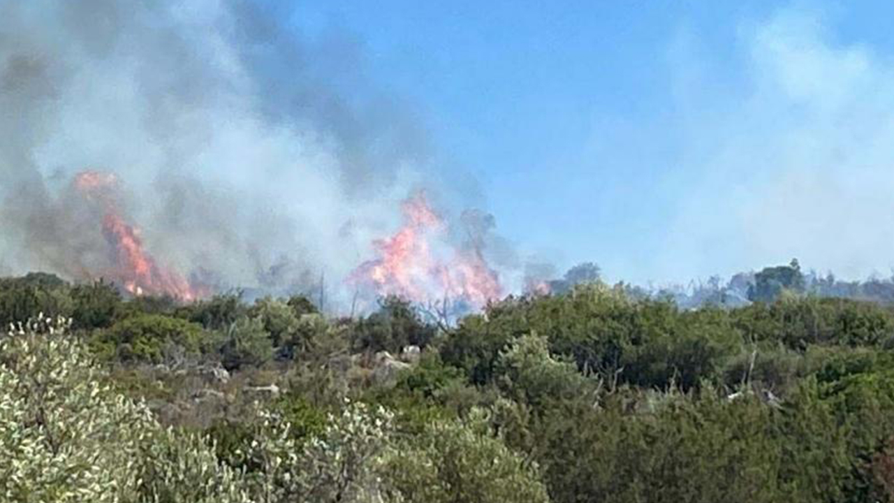 İzmir Çeşme’deki orman yangını kontrol altına alındı