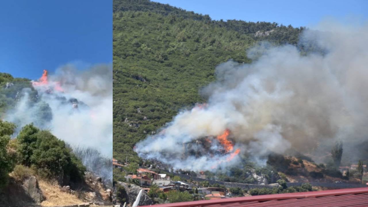 İzmir'de üç orman yangını