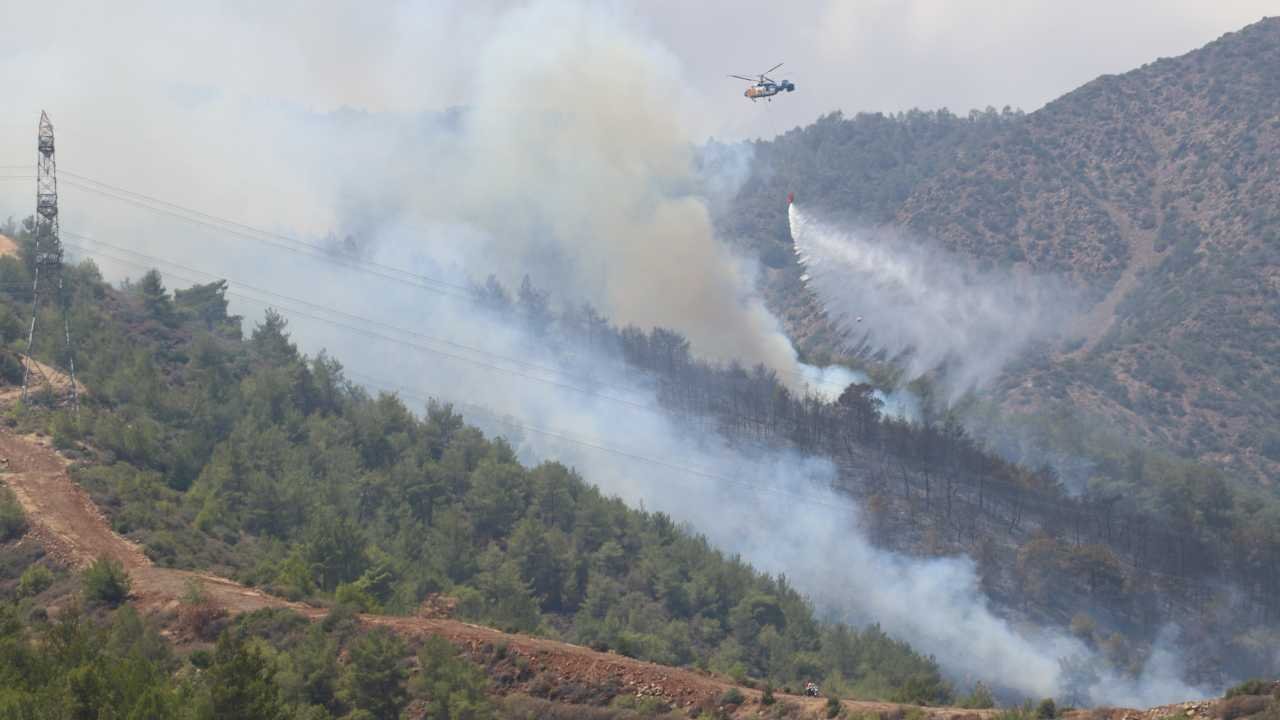 Antakya'da orman yangını