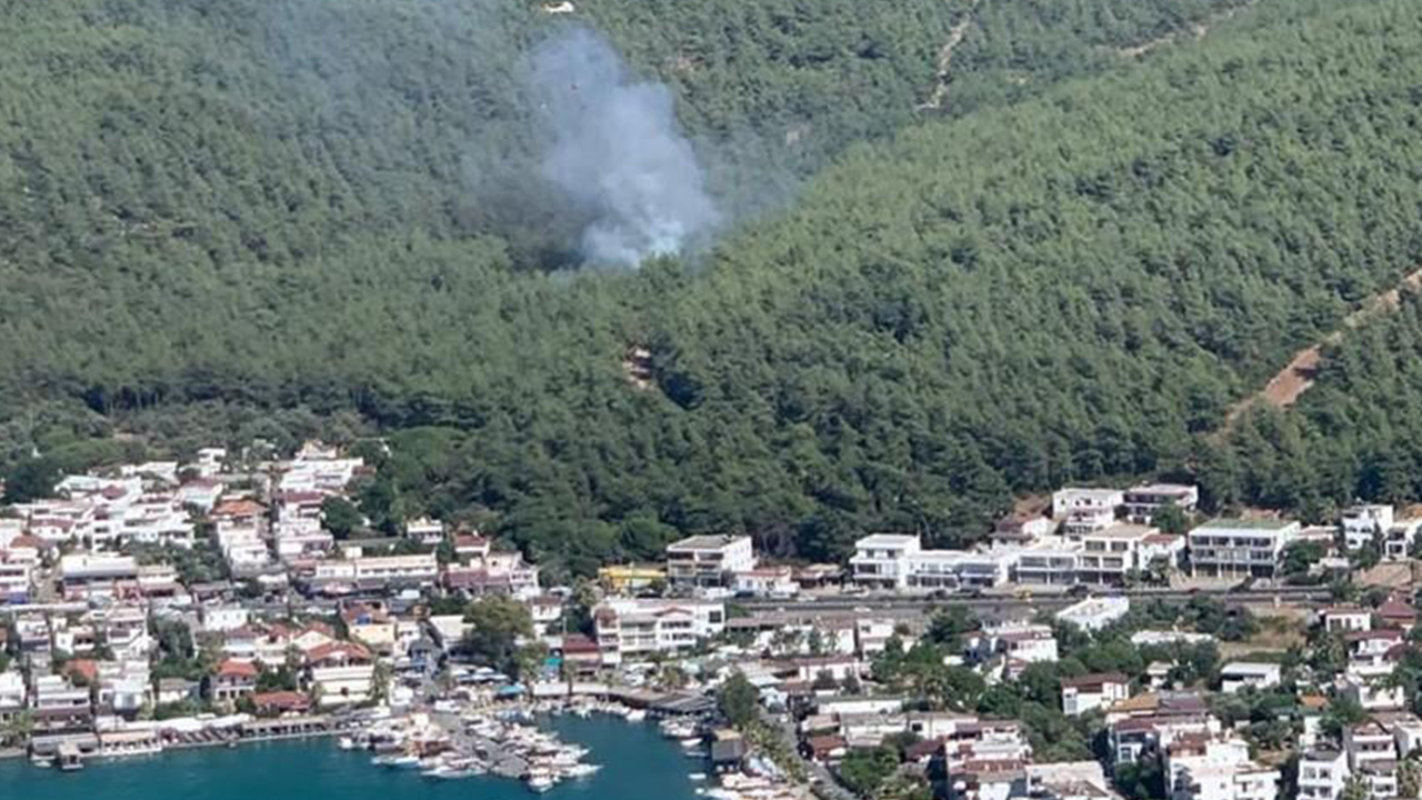 Bodrum'da çıkan orman yangını kontrol altına alındı