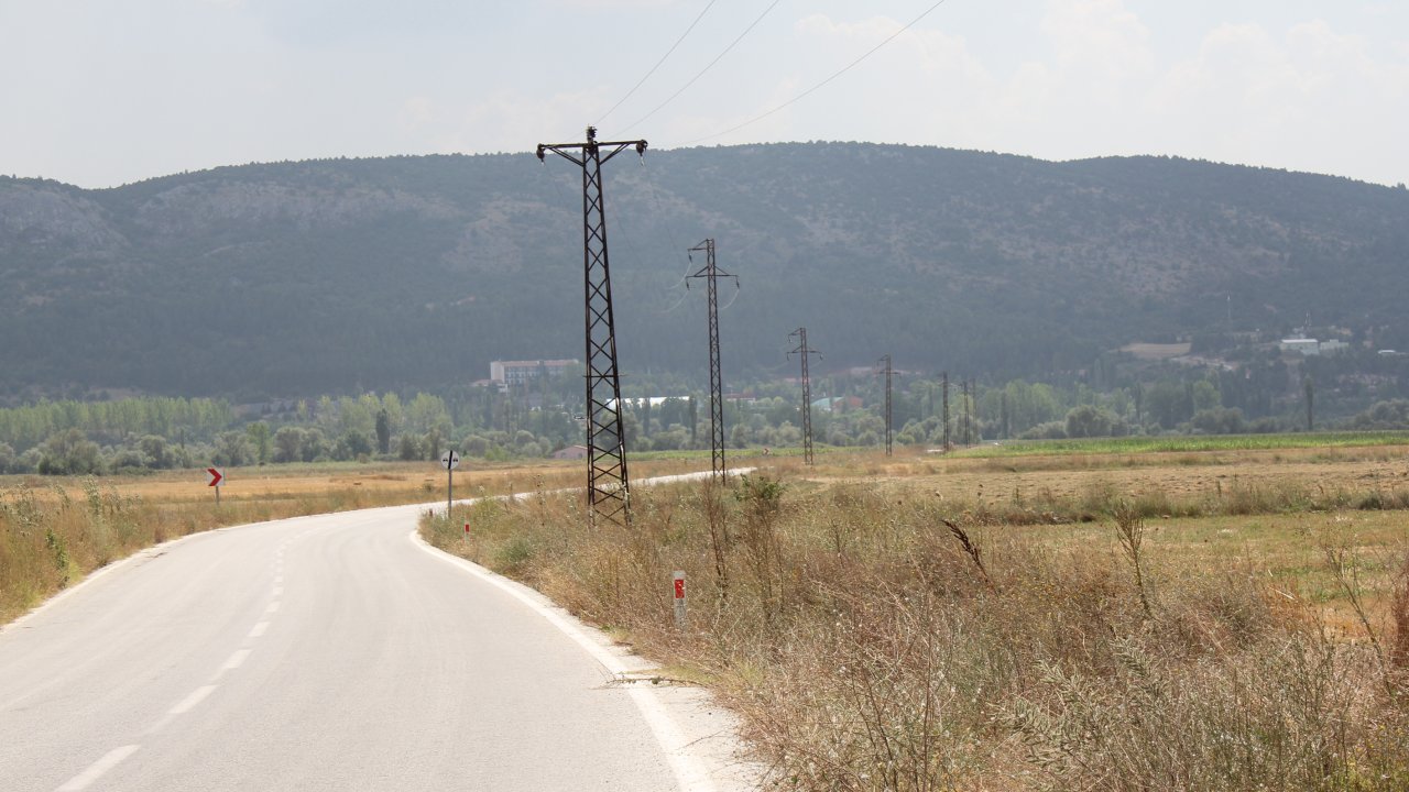 Kütahya'da elektrik direklerinde akıma kapılan 50'ye yakın leylek öldü