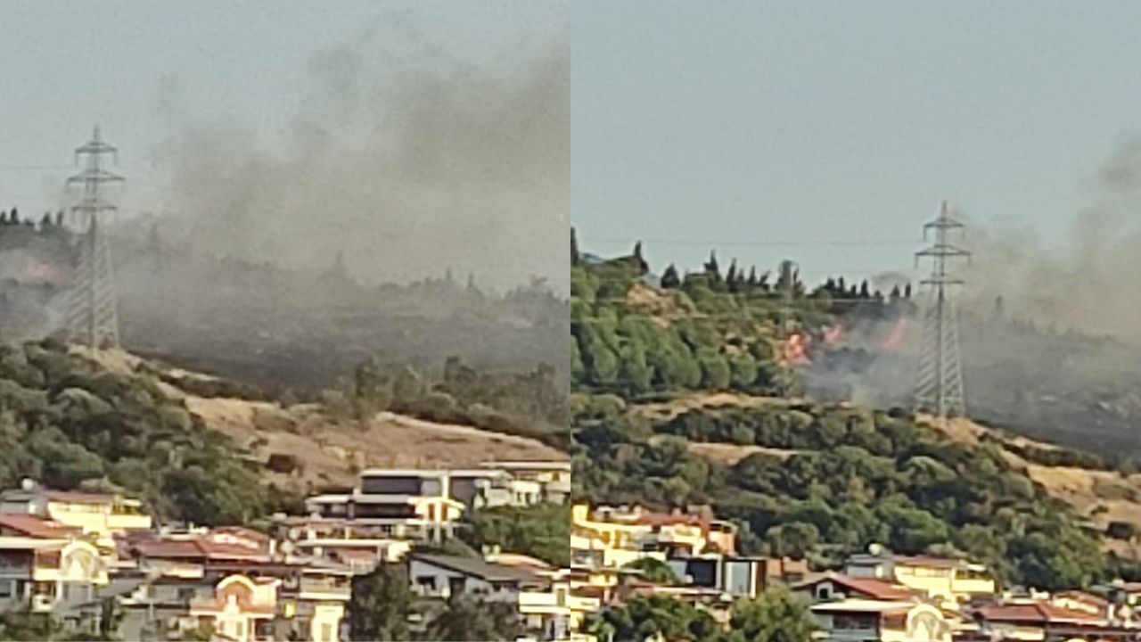 İzmir'deki orman yangını kontrol altına alındı