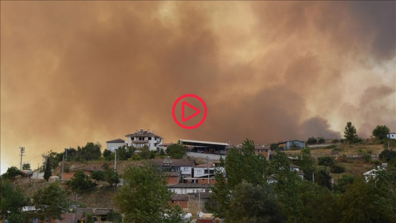 Bilecik'te kontrol altına alınan orman yangını tekrar başladı