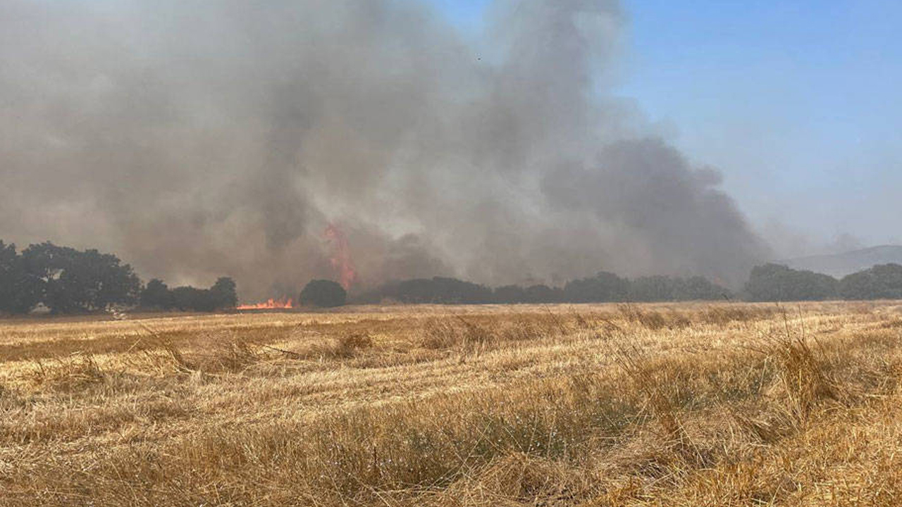 Çanakkale'de bir yangın daha: Müdahale sürüyor