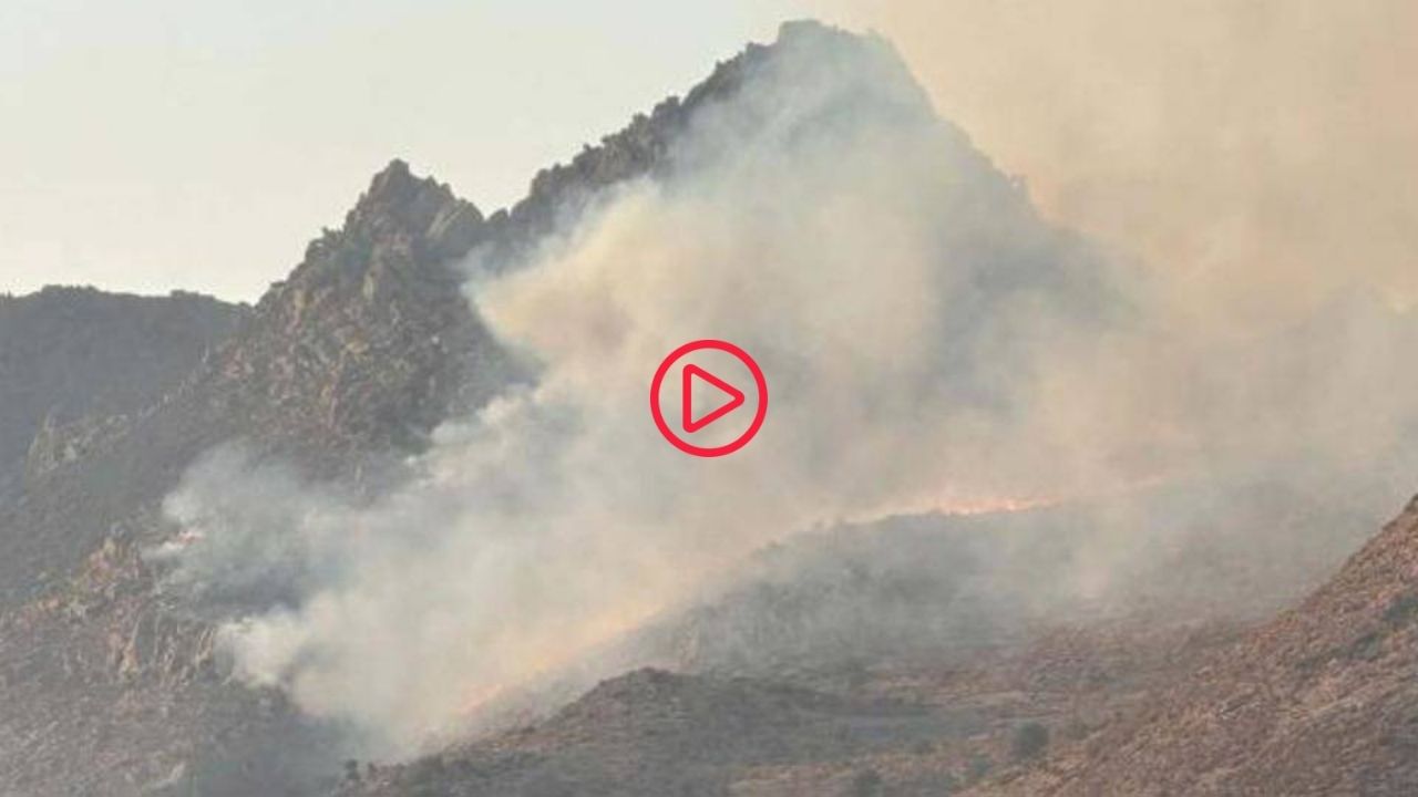 Bodrum'da maki yangını: Söndürme çalışması sürüyor