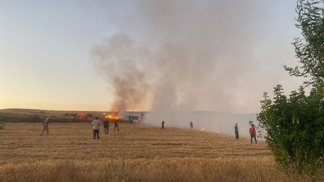 Çankırı'da yangın: 10 kovan arı öldü, 300 dekar tarla zarar gördü