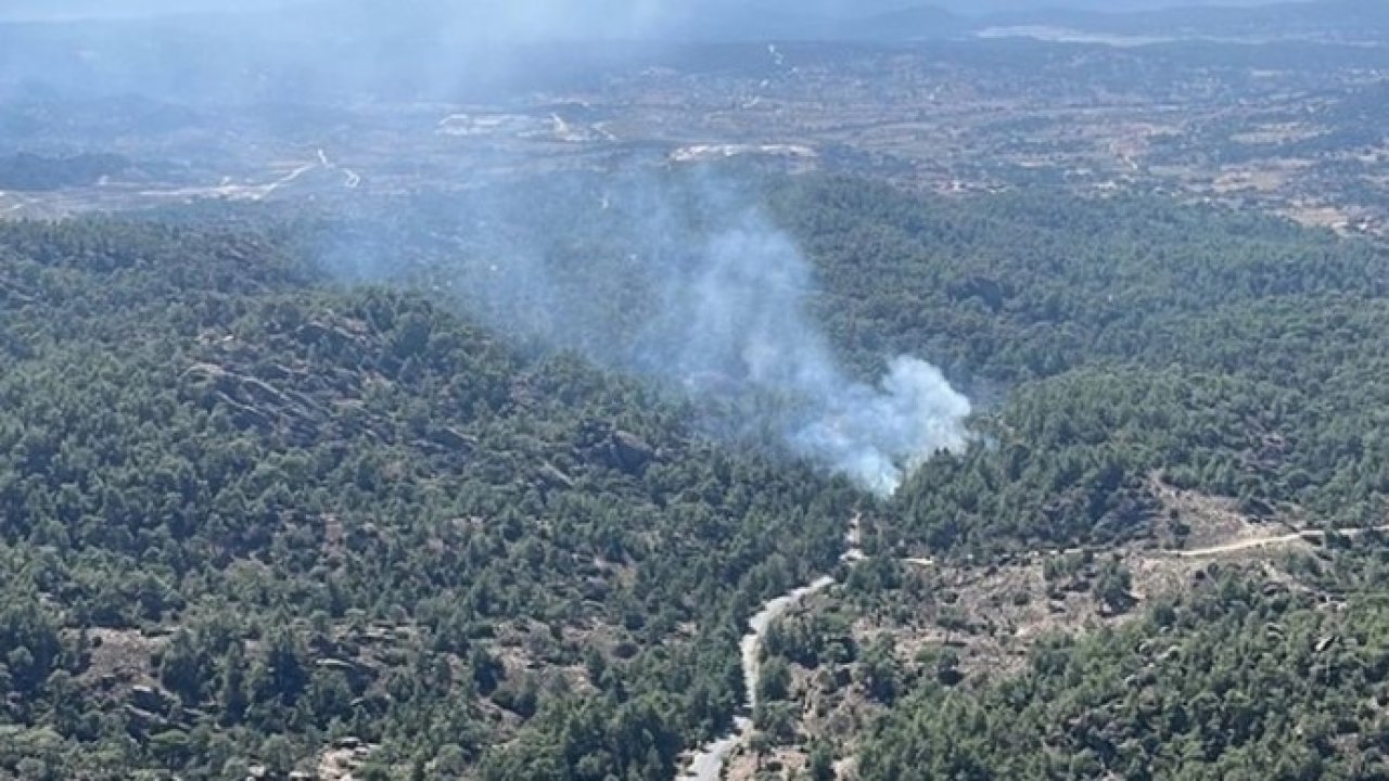 Muğla ve Denizli'deki orman yangınları kontrol altına alındı