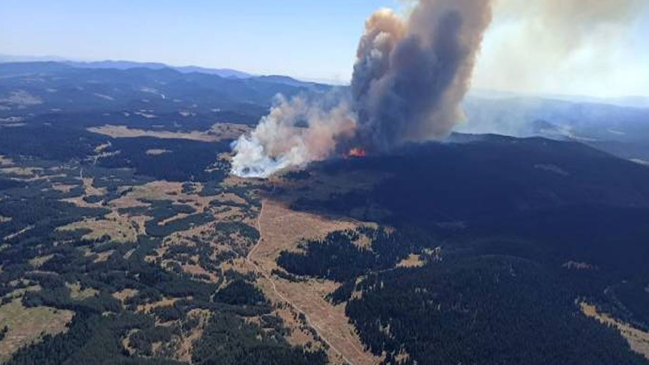 Yangın söndürme helikopteri düşmüştü: İzmir'deki orman yangınında 260 hektar alan zarar gördü