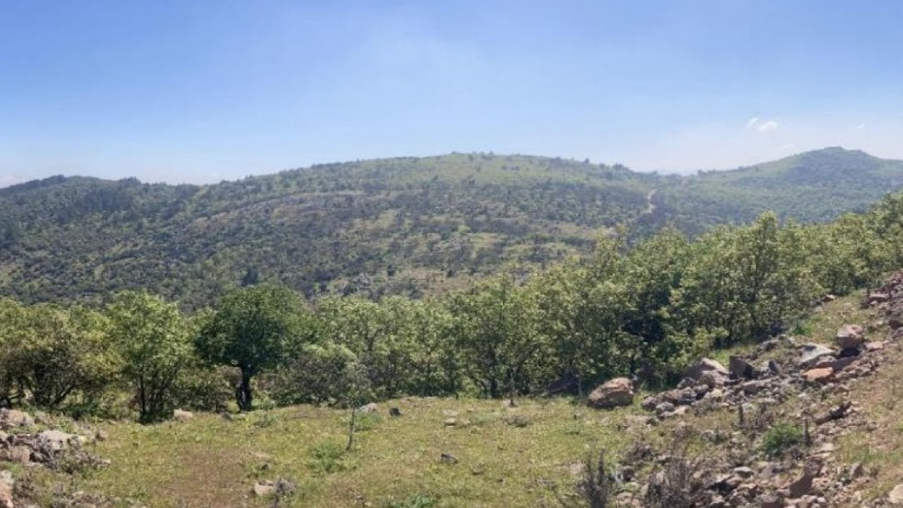 AKP'ye yakın Erdem Holding'ten ormanık alana RES projesi