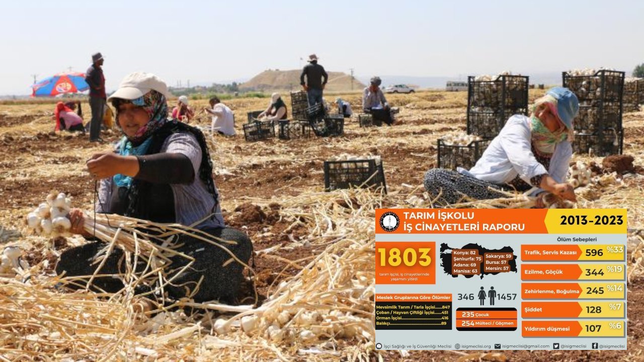 İSİG Meclisi'nden Agrobay paylaşımı: Tarımda son 10 yılda en az 1803 iş cinayeti işlendi