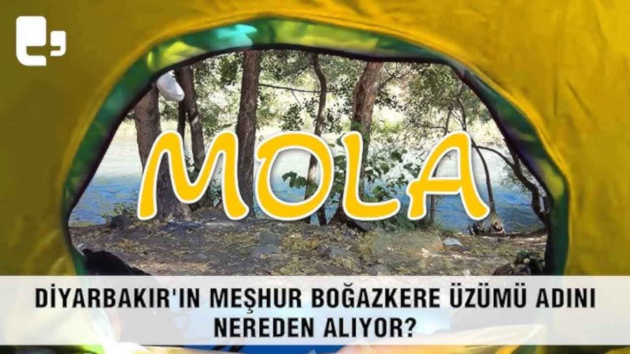 Diyarbakır'ın meşhur Boğazkere üzümü adını nereden alıyor? - Mola - 1 Ekim 2023