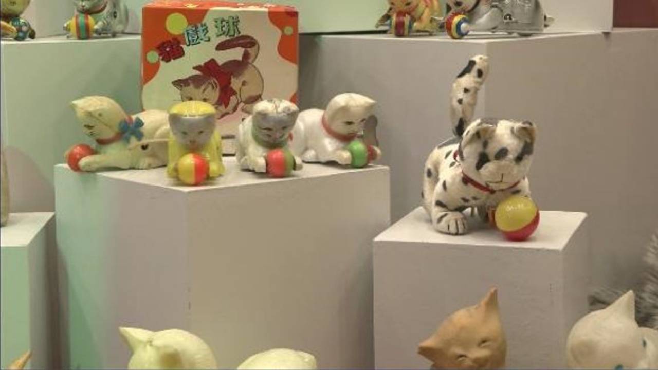 Beşiktaş’ta ‘Kedi Müzesi’ açıldı