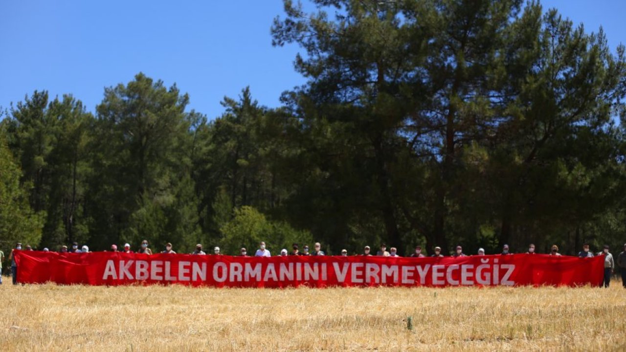 İkizköylüler, Akbelen Ormanı davası için mahkemeye yürüyecek: 'Hadi yürüyün, siz de geliverin gari!'