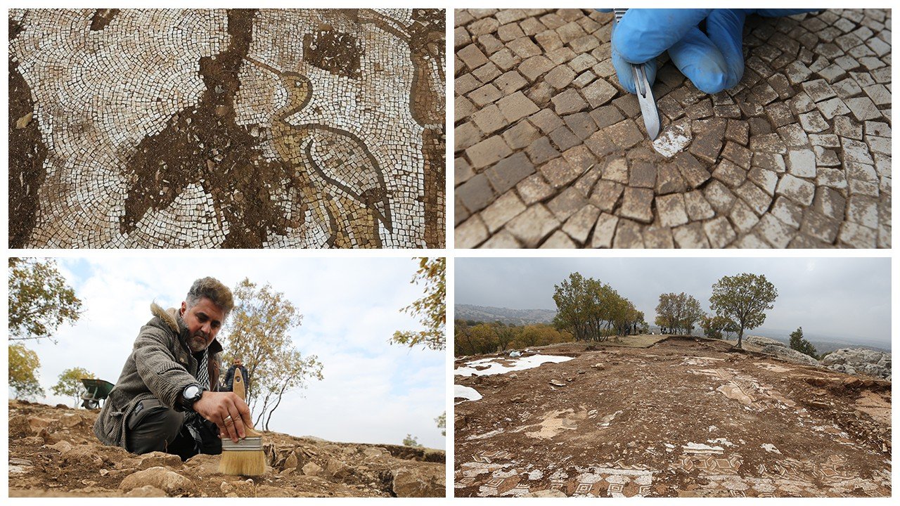 Mardin'de yapılan kazıda deniz canlıları figürlü mozaikler bulundu