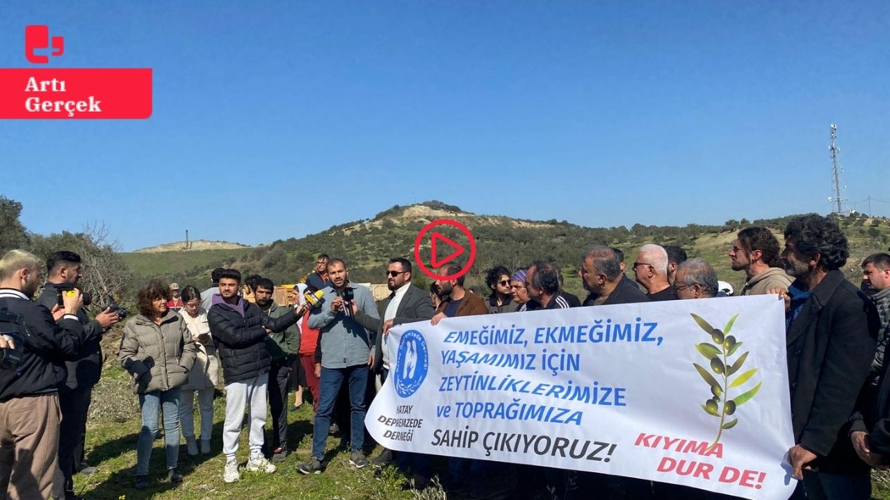AKP'li Binbay'ın şirketi Defne'de zeytinlikleri söküyor: Kamulaştırılan alana TOKİ tarafından konut yapılacak