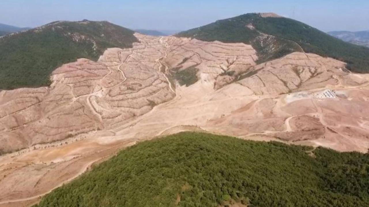 Kaz Dağları’nda binlerce ağaç daha tehlike altında: Maden şirketi 10 kat büyümenin peşinde