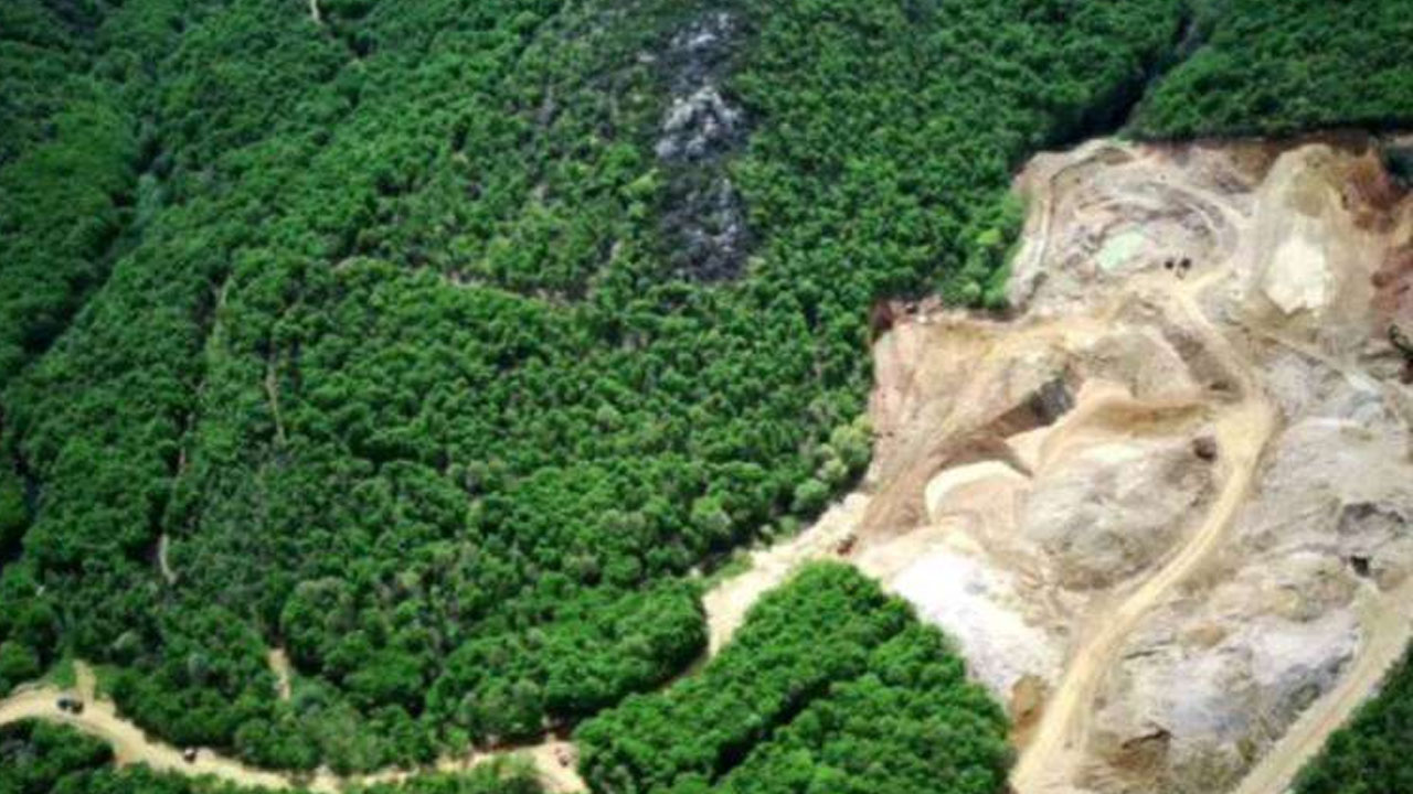 Kuzey Ormanları’nda doğa talanı: 3 bin ağaç kesilecek