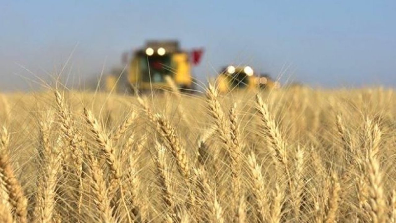 Çiftçi-Sen yöneticisi Adnan Çobanoğlu: Kuraklığa karşı çözüm geleneksel ve ekolojik tarımda