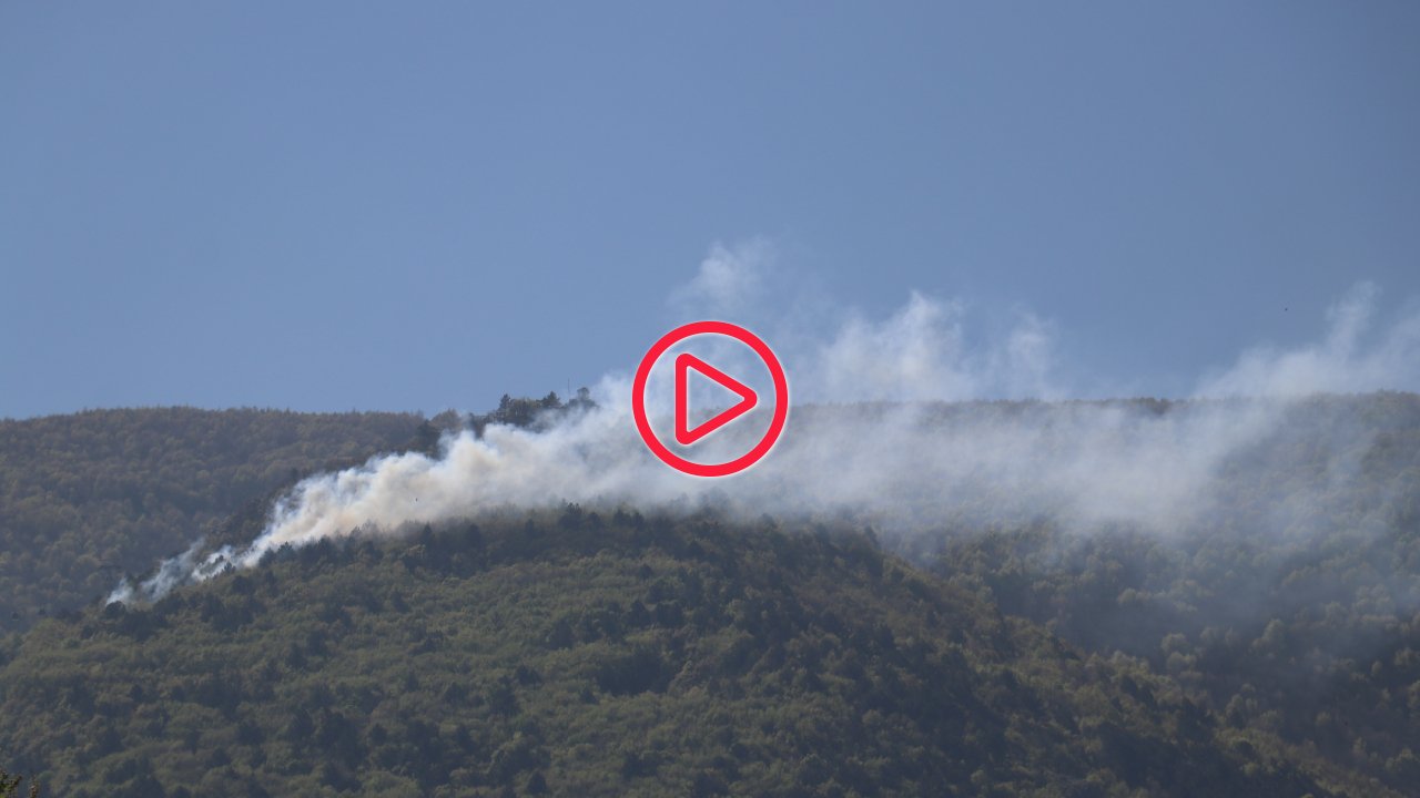 Bursa'da orman yangını: Müdahale sürüyor